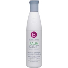 Berrywell Raum Kunst Volume Shampoo 251 ml