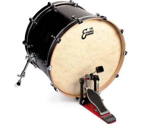 Evans BD22GB4CT