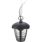 BE LIGHT! ГРАДИНСКИ ФЕНЕР ВИСЯЩ ЧЕРЕН e27 60w belight (3800231890244)