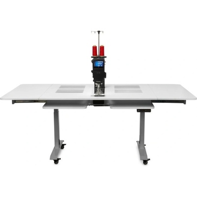 Bernina + Bernina Q20