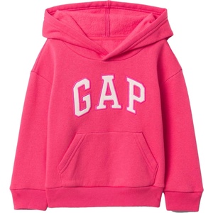 GAP V-frch - logo po flc 4y