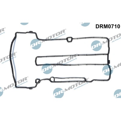 DR.MOTOR AUTOMOTIVE Tesnenie veka hlavy valcov DRM0710