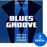 Roland Blues Groove (Дигитален продукт)
