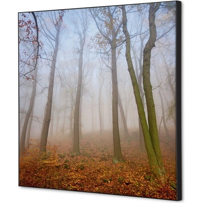 Jansen Display Textilní dekorace na zeď 40 x 40 Podzimní mlha, 400 x 400 mm