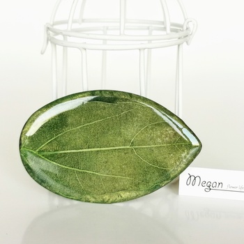 Meganflo Скелетирано листо