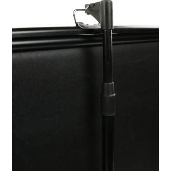 Elite Screens F60NWV