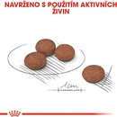 Granule pre psov Royal Canin Mini Digestive Care 1 kg