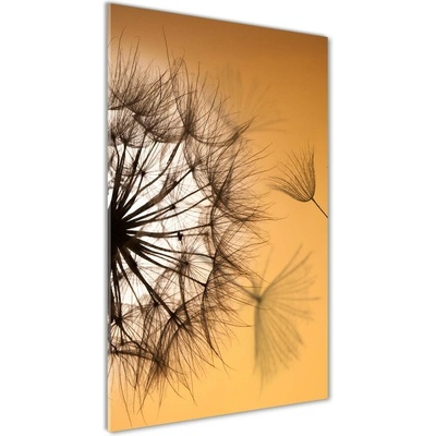 Vertikálny foto obraz sklo tvrdené Púpava 50x100 cm