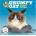 Grumpy Cat Wall Cat, Grumpy 2027