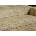 Schod STONE 16cm colormix sand