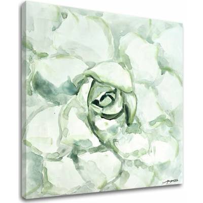 Obraz na plátne KVET - 50x50 cm