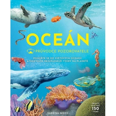 Průvodce pozorovatele: Oceán