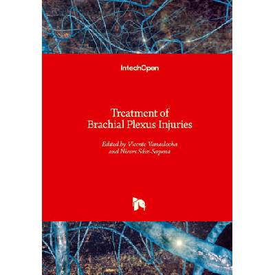 Treatment of Brachial Plexus Injuries | Nieves Saiz-Sapena