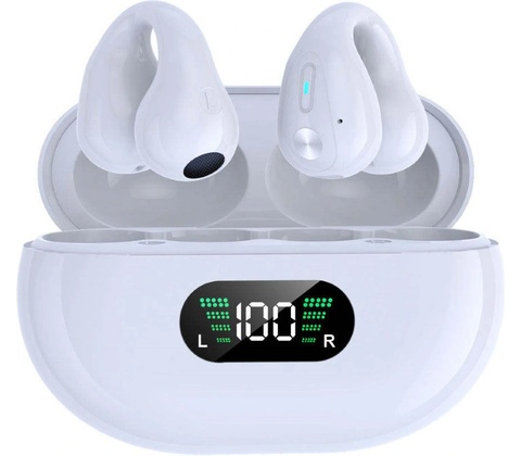 Ear Clip ProTech Q80