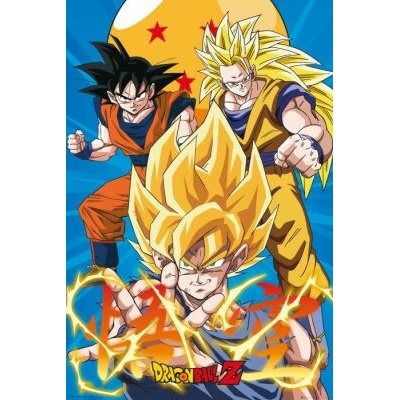 Plakát Dragon Ball - Z3 Gokus Evo