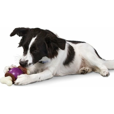 Petsafe Busy Buddy Bouncy Bone M