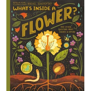 What's Inside A Flower? | Ignotofsky, Rachel (ISBN: 9780593176474)