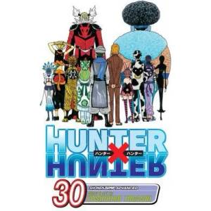 Hunter x Hunter, Vol. 30 (2013)