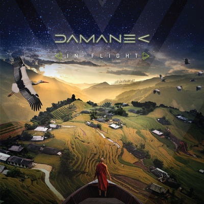 In Flight - Damanek CD