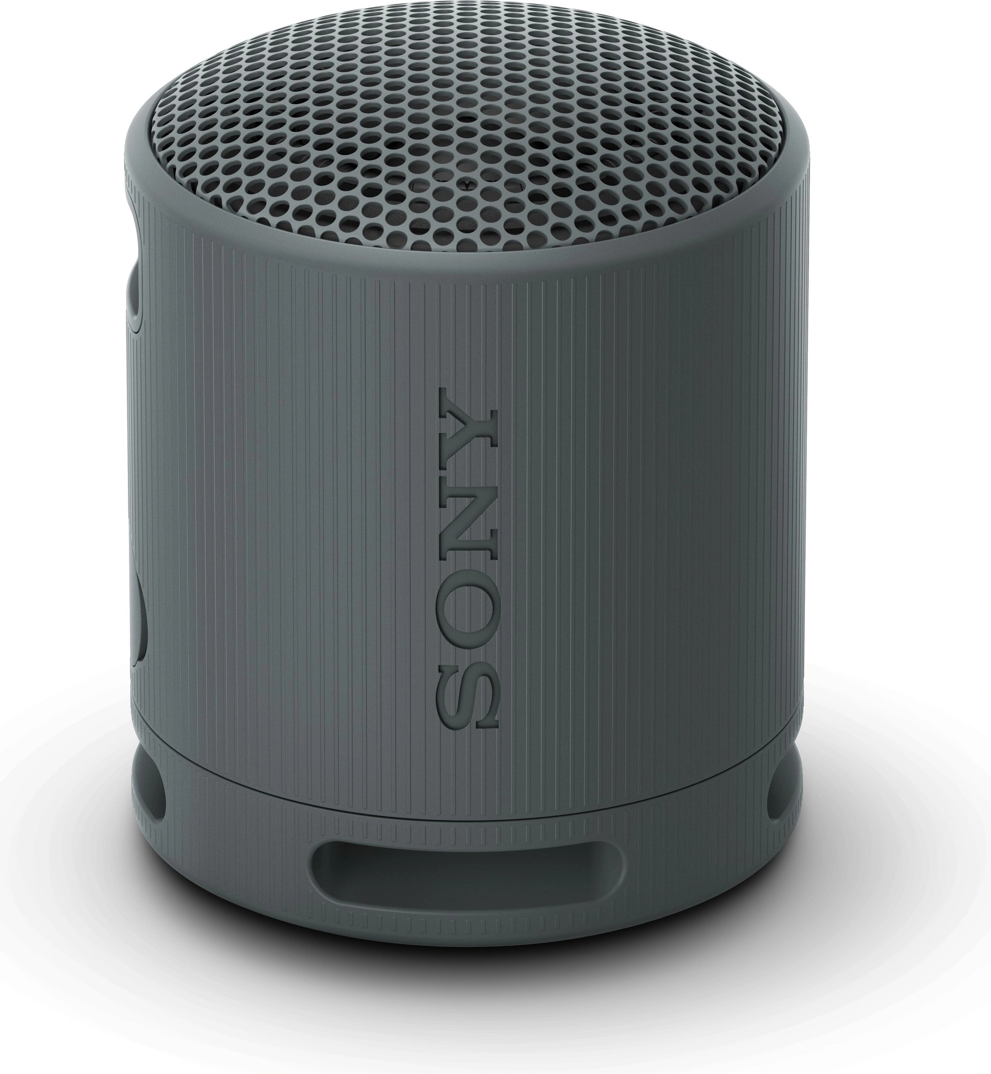 Sony SRS-XB100B