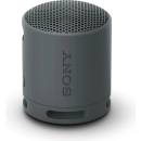 Sony SRS-XB100B
