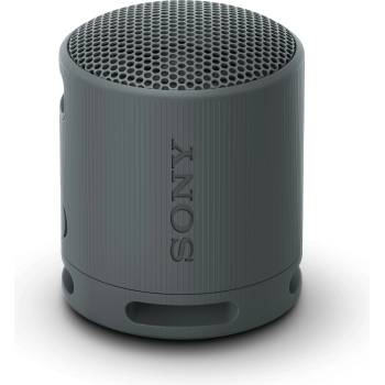 Sony SRS-XB100B
