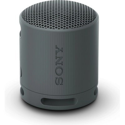 Sony SRS-XB100B
