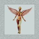 Nirvana, IN UTERO CD