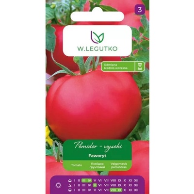 W. Legutko Faworyt висок домати - много големи, месести плодове