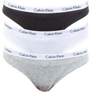 Calvin Klein 3PACK dámské kalhotky vícebarevné QD3588E999