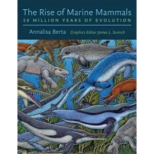 Rise of Marine Mammals | Annalisa Berta (ISBN: 9781421423258)
