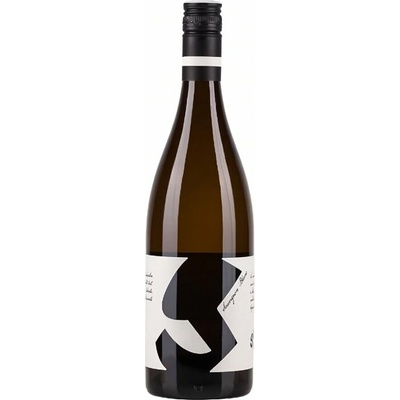 Weingut Glatzer Sauvignon Blanc 1 g/l suché bílé 2024 12,5 % 0,75 l (holá láhev)