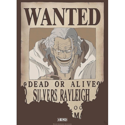 GB eye Мини плакат GB eye Animation: One Piece - Rayleigh Wanted Poster (GBYDCO268)