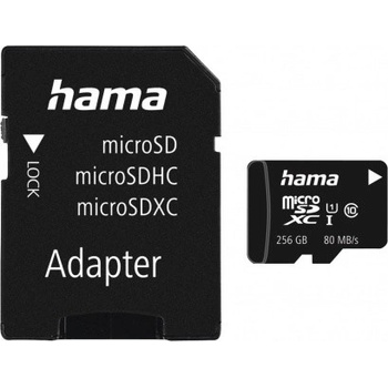 Hama microSDXC 256GB 13117