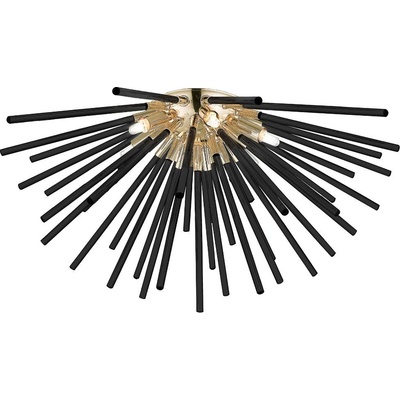 Zuma Line Urchin C0491-06B-F7BC (003064-026344)