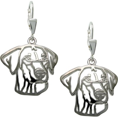 Stříbrné tlapky Rhodéský ridgeback 225