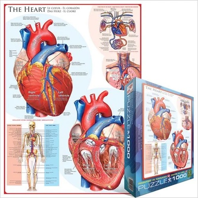 EUROGRAPHICS - Puzzle Heart - 1 000 piese