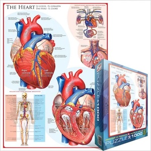 EUROGRAPHICS - Puzzle Heart - 1 000 piese