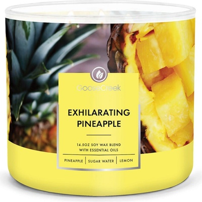 Goose Creek EXHILARATING PINEAPPLE 410 g