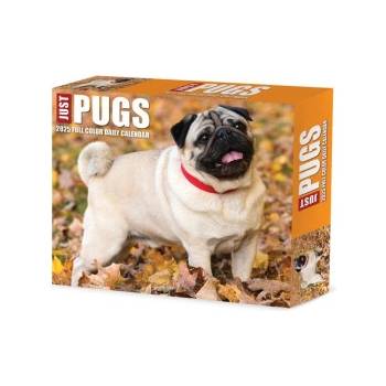 Willow Creek Press Calendars Just Pugs 2026 5.4 X 6.2 Box Calendar | Willow Creek Press