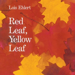Red Leaf, Yellow Leaf | Lois Ehlert (ISBN: 9780063286702)