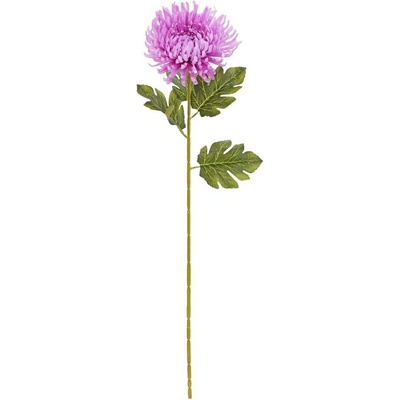 KS CHRYZANTÉMA FIALOVÁ 68CM
