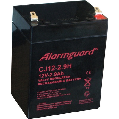 Alarmguard 12V 2,9Ah 44A