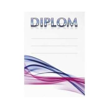 Diplom 6699
