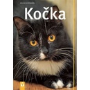 Kočka