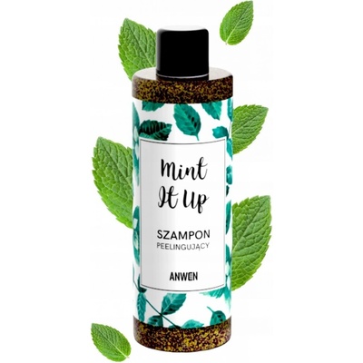 Anwen Mint It Up exfoliačný šampón 200 ml