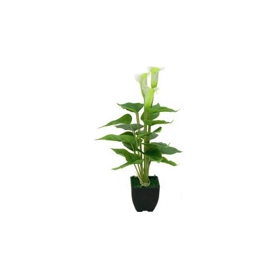 Mini kala, bílá, 43 cm