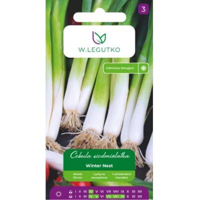 W. Legutko Зимно гнездо седемгодишен лук - многократно покълване
