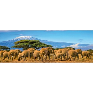 Nathan - Puzzle Herd Of Elephants panorama - 500 piese