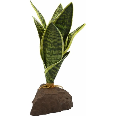 Lucky Reptile Sanseviera 20 cm